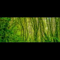 santa elena reserve monteverde front page
 - Costa Rica