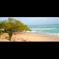 playa rosada nosara 
 - Costa Rica