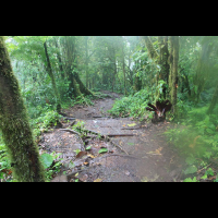 cerro chato hike 
 - Costa Rica