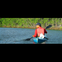 kayaking tamarindo estuary
 - Costa Rica