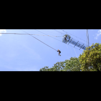  percent aventura tarzan bottom 
 - Costa Rica