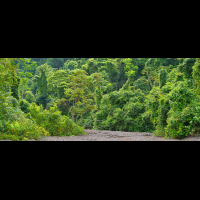 piedras blancas national park
 - Costa Rica