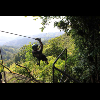 extremos zipline shade 
 - Costa Rica