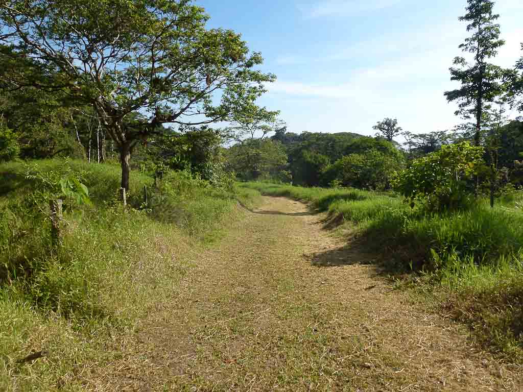 crossing childrens ete rnfrst cano negro start 
 - Costa Rica