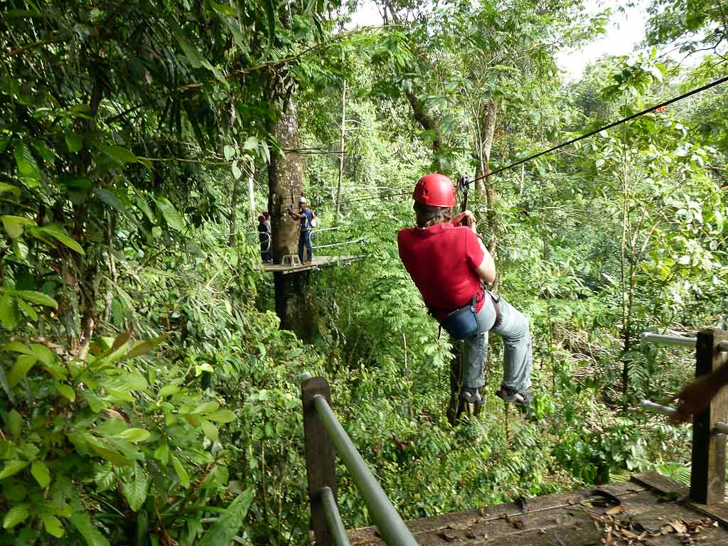 canopy tour sarapiqui mother
 - Costa Rica
