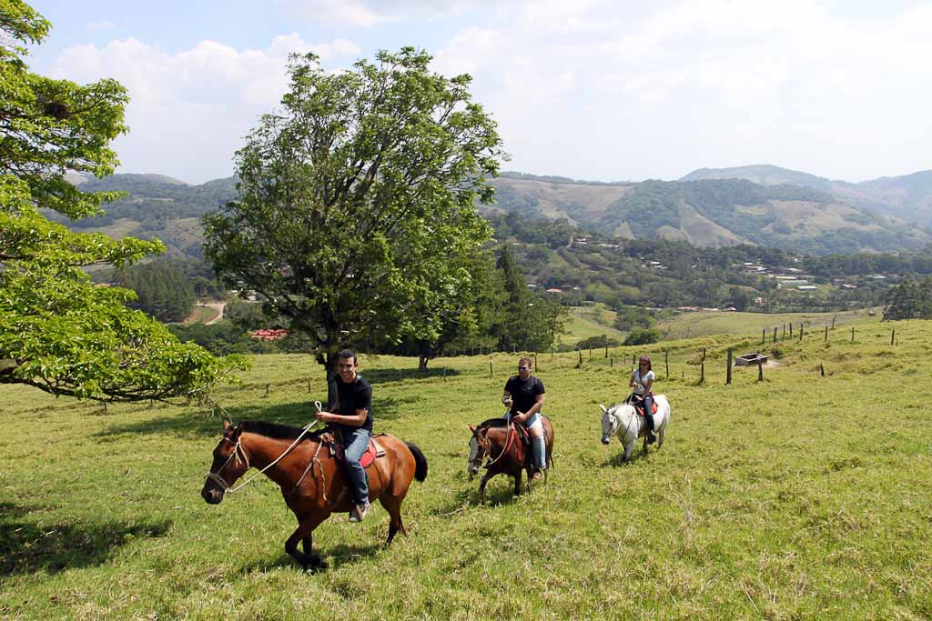 helaconia ranch horses 
 - Costa Rica