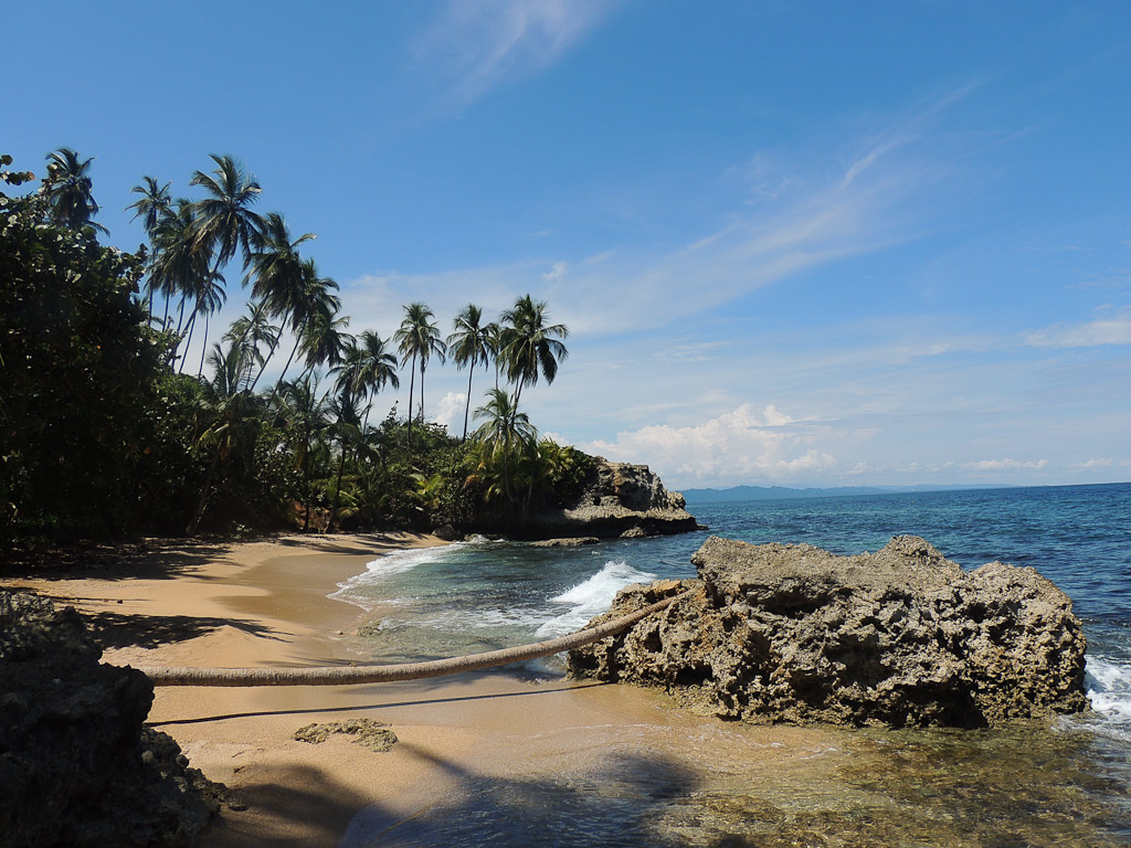  a day puerto viejo mazanillo point 
 - Costa Rica