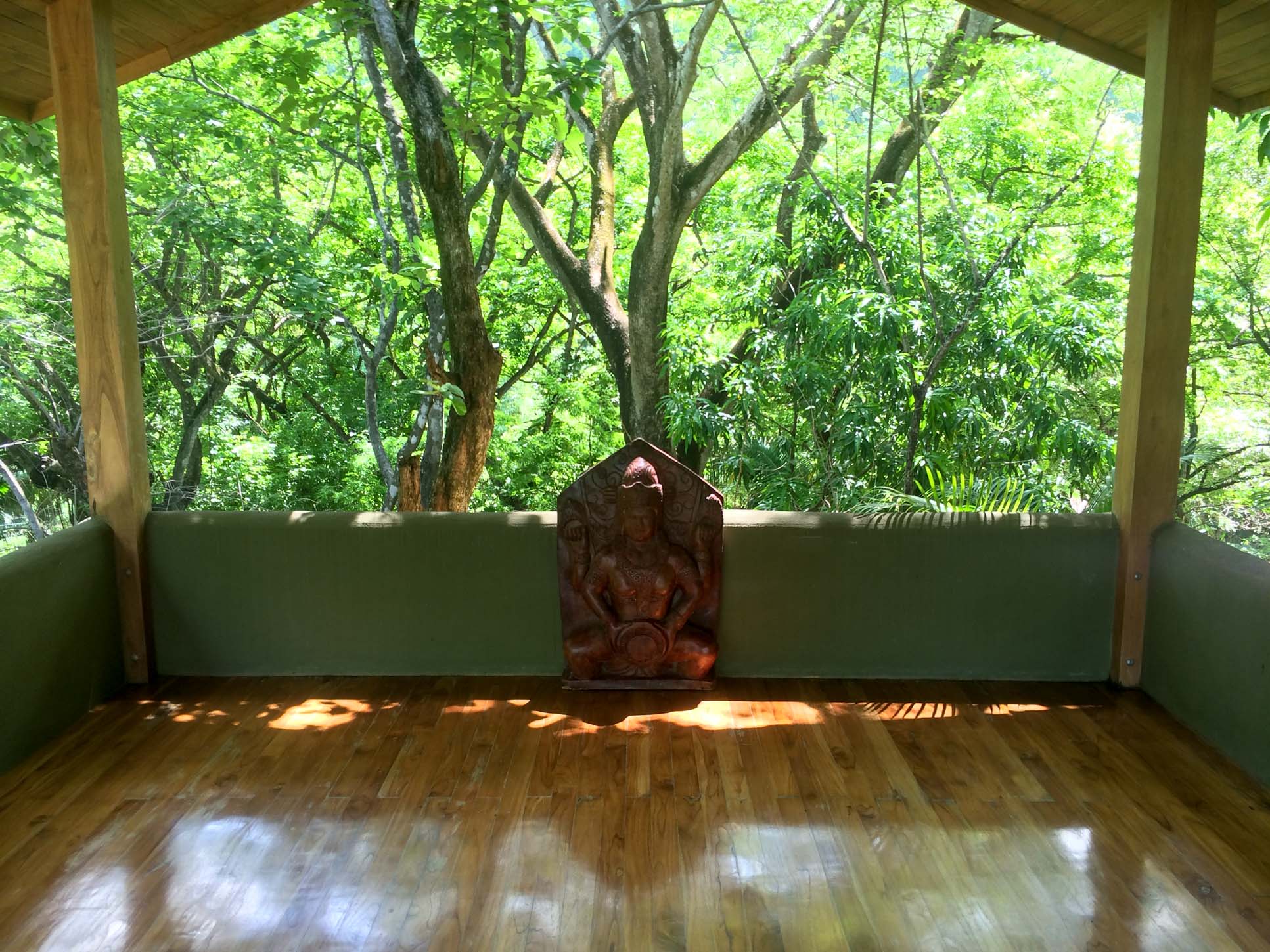 treetops pavilion nosara yoga institute
 - Costa Rica