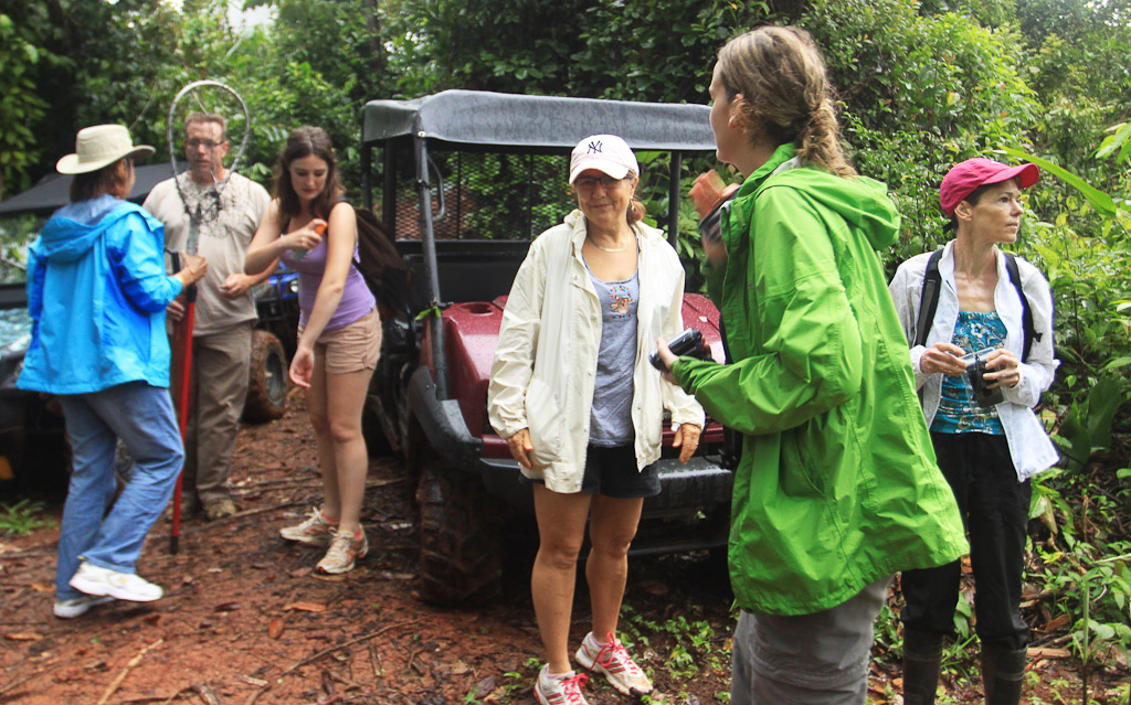 releasing the kinkajou blog preparing 
 - Costa Rica
