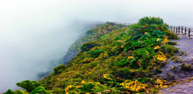 Irazu Volcano, the Orosi Valley and Lankester Garden - Costa Rica